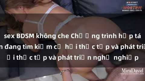 sex BDSM không che Chương trình hợp tác JAV cho sinh viên đang tìm kiếm cơ hội thực tập và phát triển nghề nghiệp